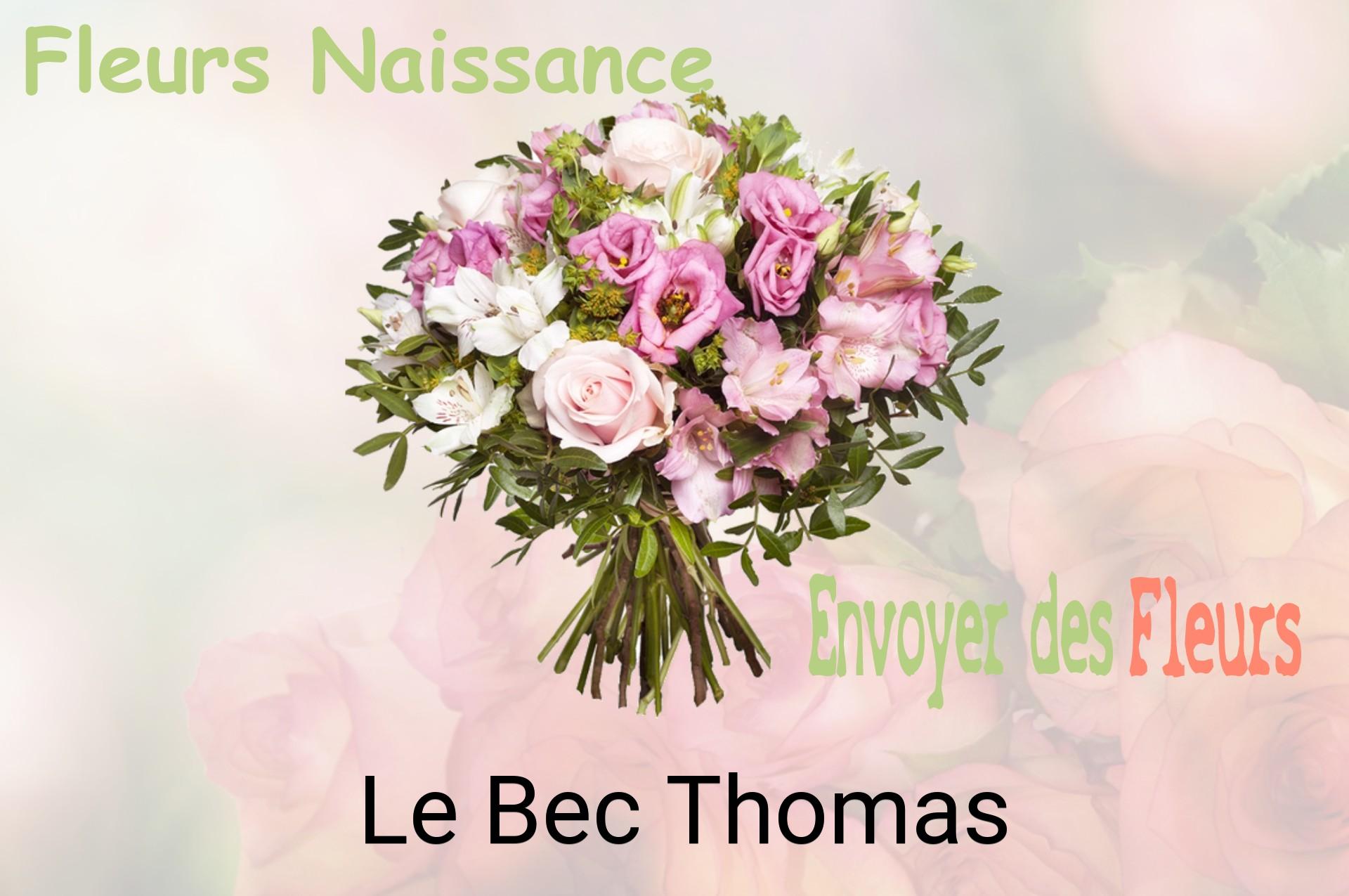 Bouquet de fleurs de naissance livré à Le Bec-Thomas